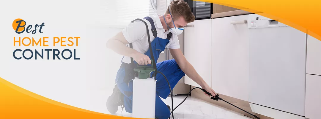 Best Home Pest Control