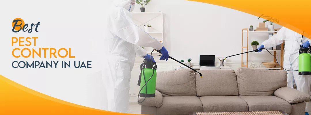 Best Pest Control Company in UAE