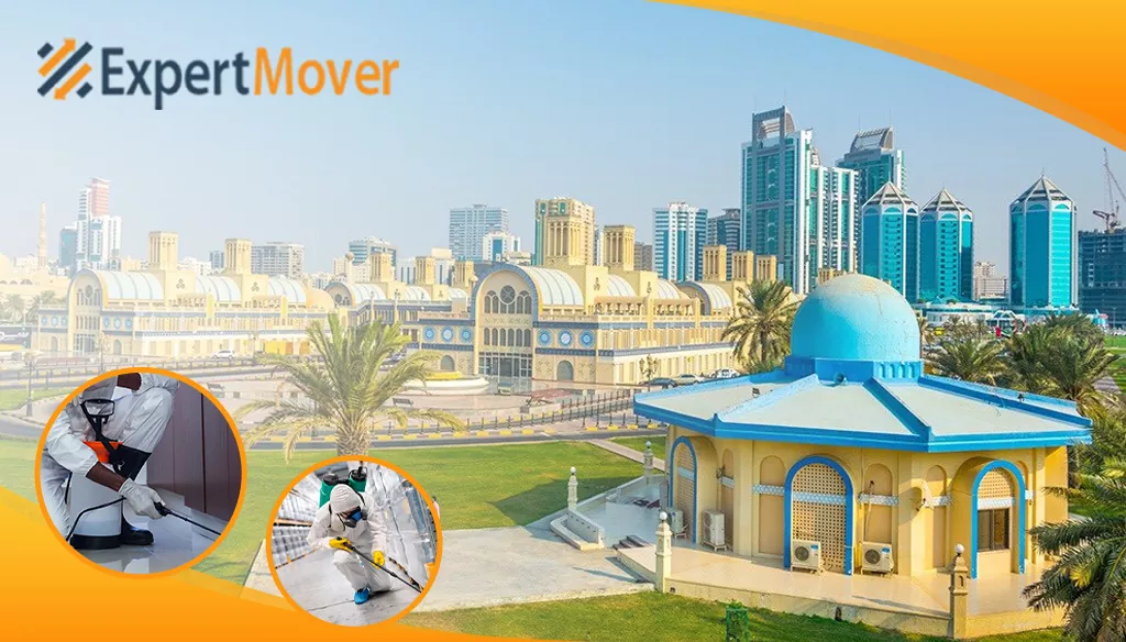 Pest Control in Sharjah