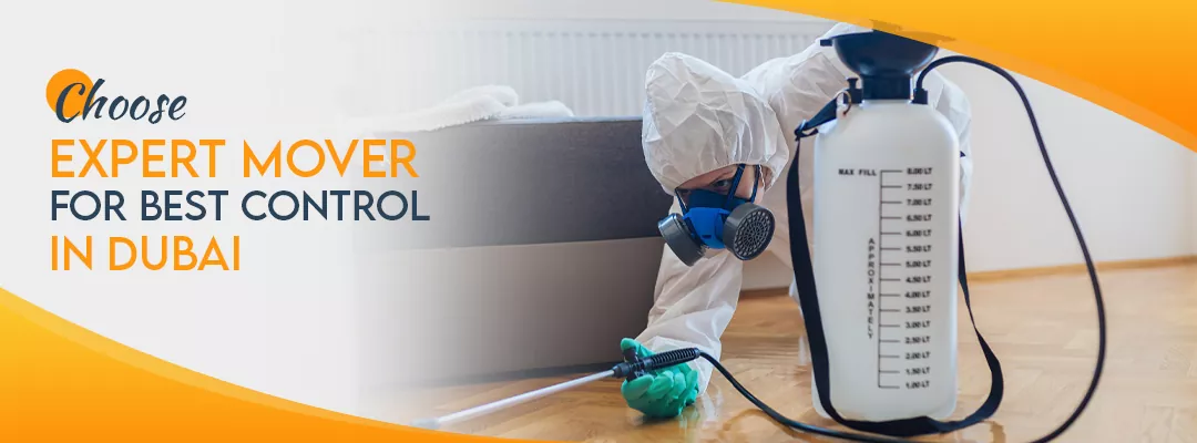 choose expert mover for best pest control in dubai