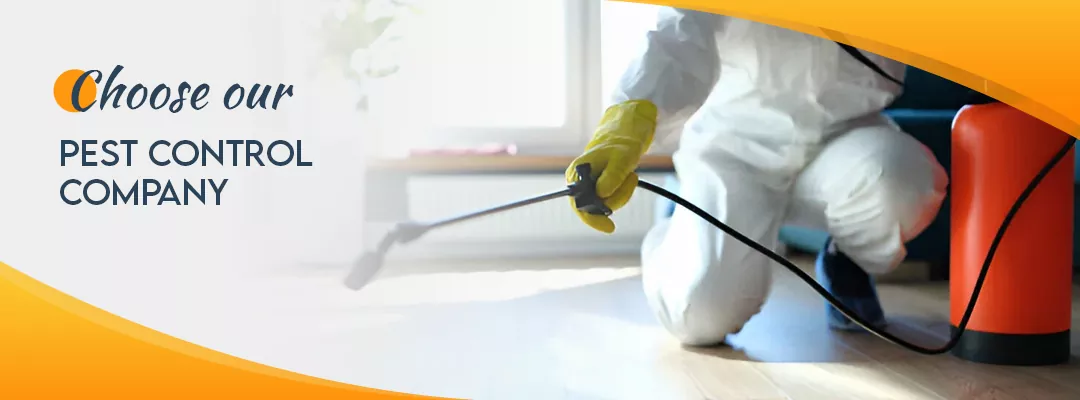 Why choose our pest control company? 
