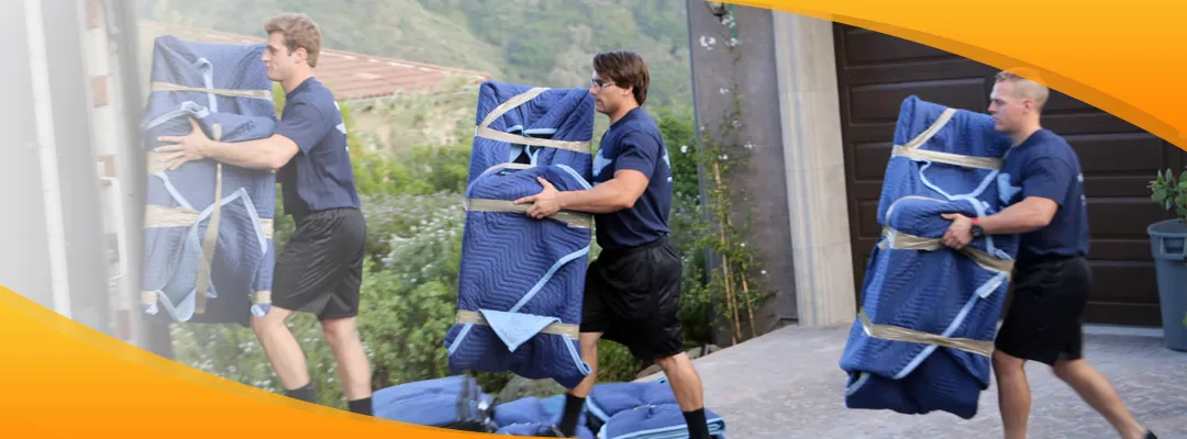 Why Choose Us as Professional Equipment Movers in Dubai?