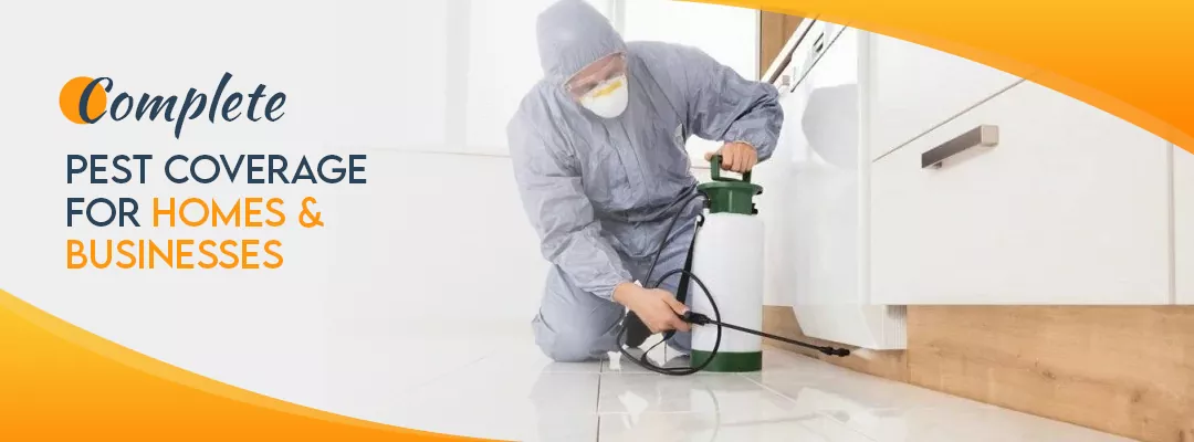 Complete Pest Coverage for Homes & Businesses