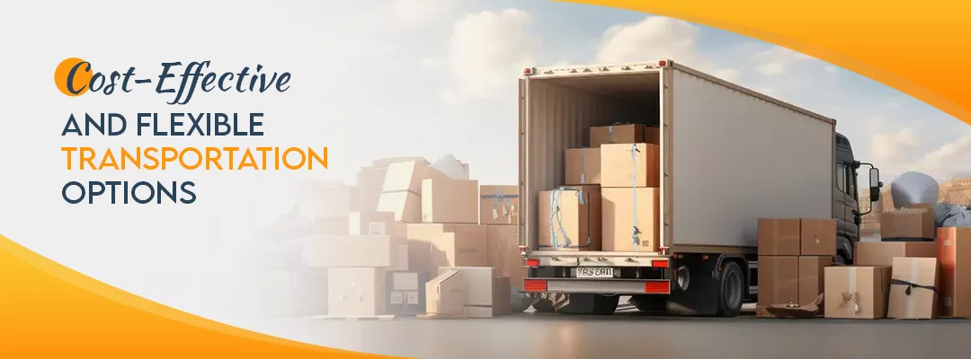 Cost-Effective and Flexible Transportation Options