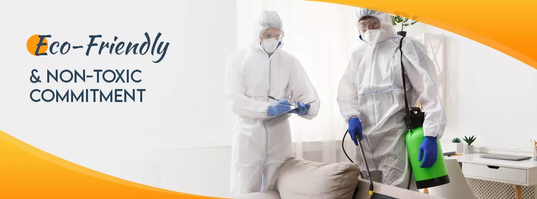 Eco-Friendly & Non-Toxic Commitment