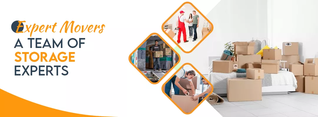 A Team of Storage Experts