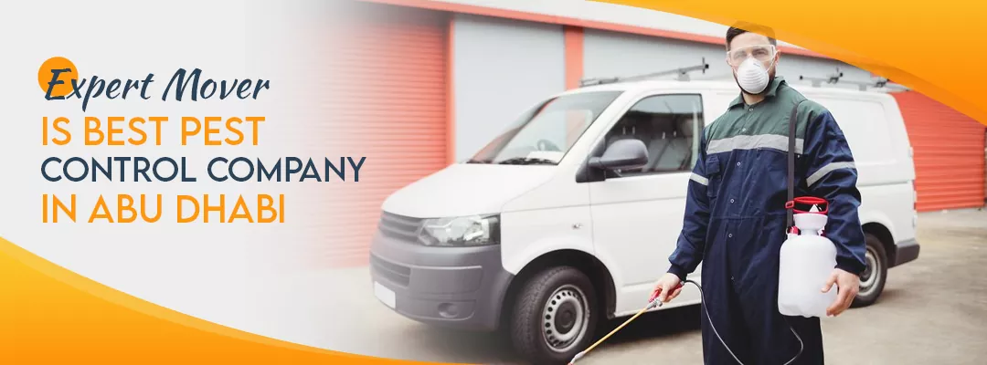 Why We Are The Best Pest Control Company in Abu Dhabi?