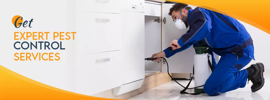 Get Expert Pest Control Services