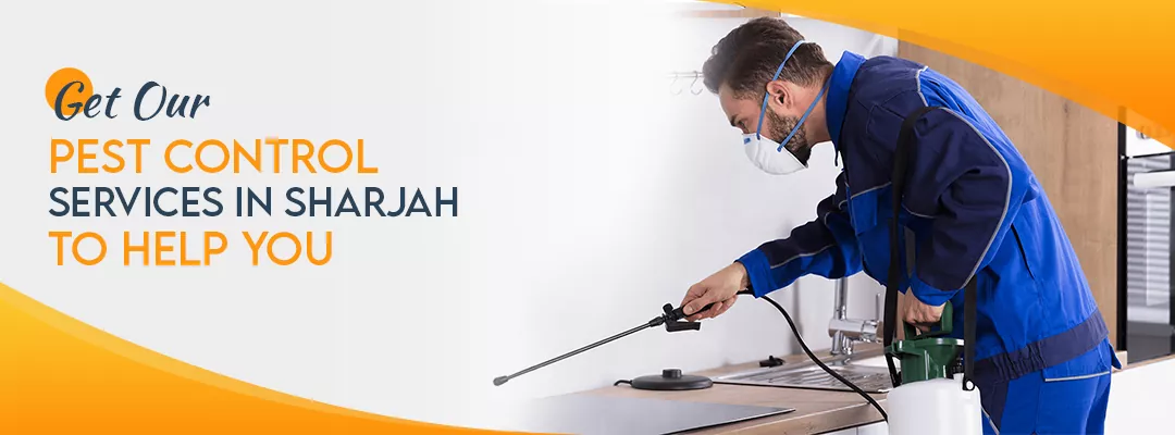 Get Our Pest Control Services in Sharjah to Help You