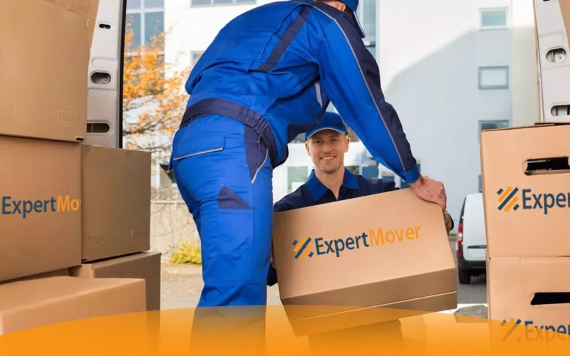 Office Movers in Al Nahda