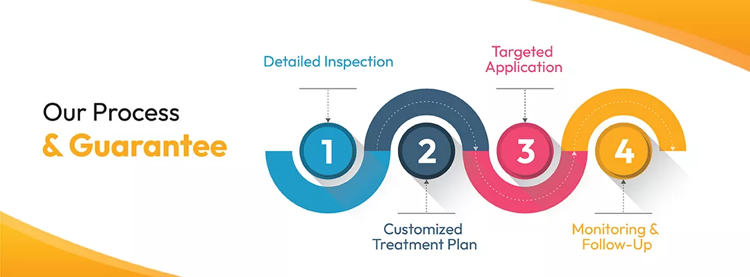 Our Process & Guarantee