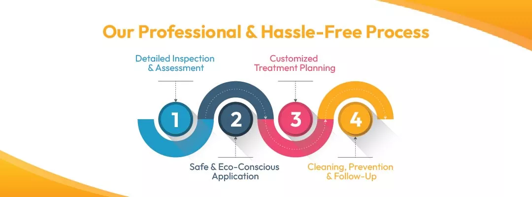 Our Professional & Hassle-Free Process