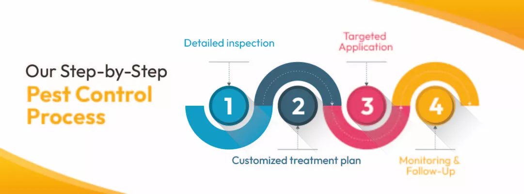 Our Step-by-Step Pest Control Process