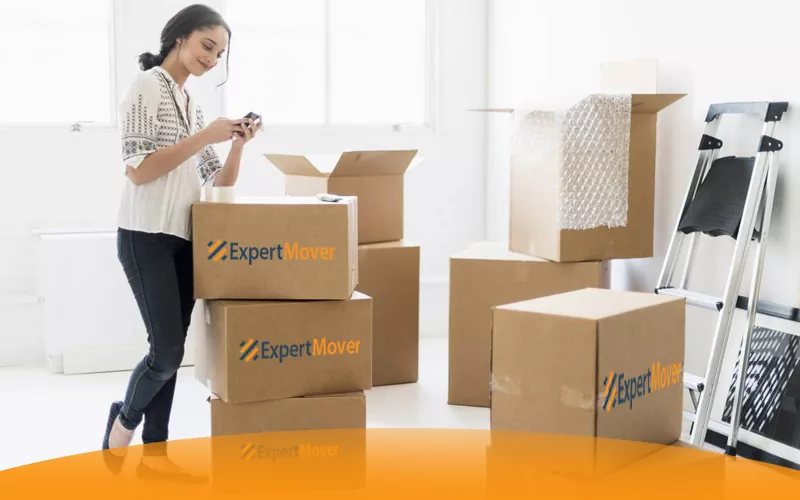 Prominent Feature of Movers and Packers in JLT
