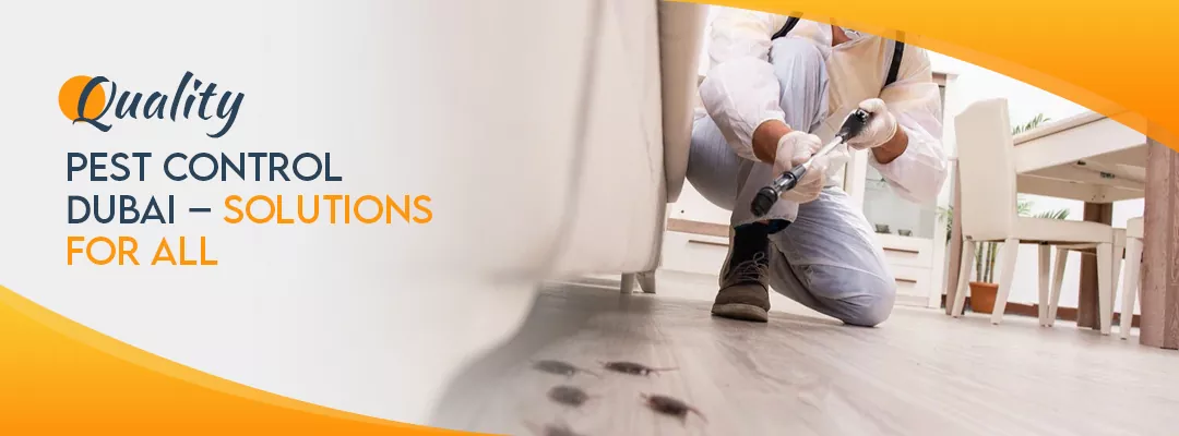 Quality Pest Control Dubai – Solutions for All