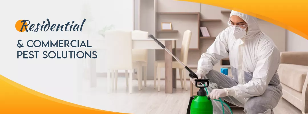 Residential & Commercial Pest Solutions