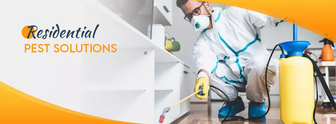 Residential Pest Solutions